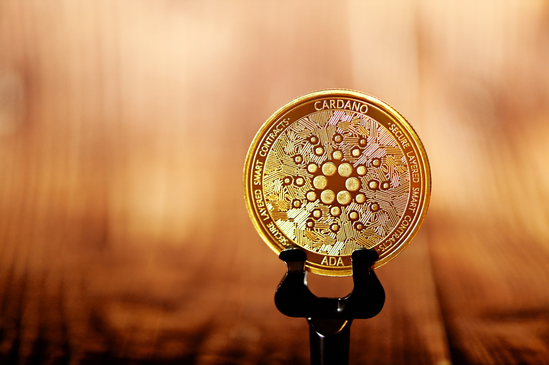 Google searches for Google searches for