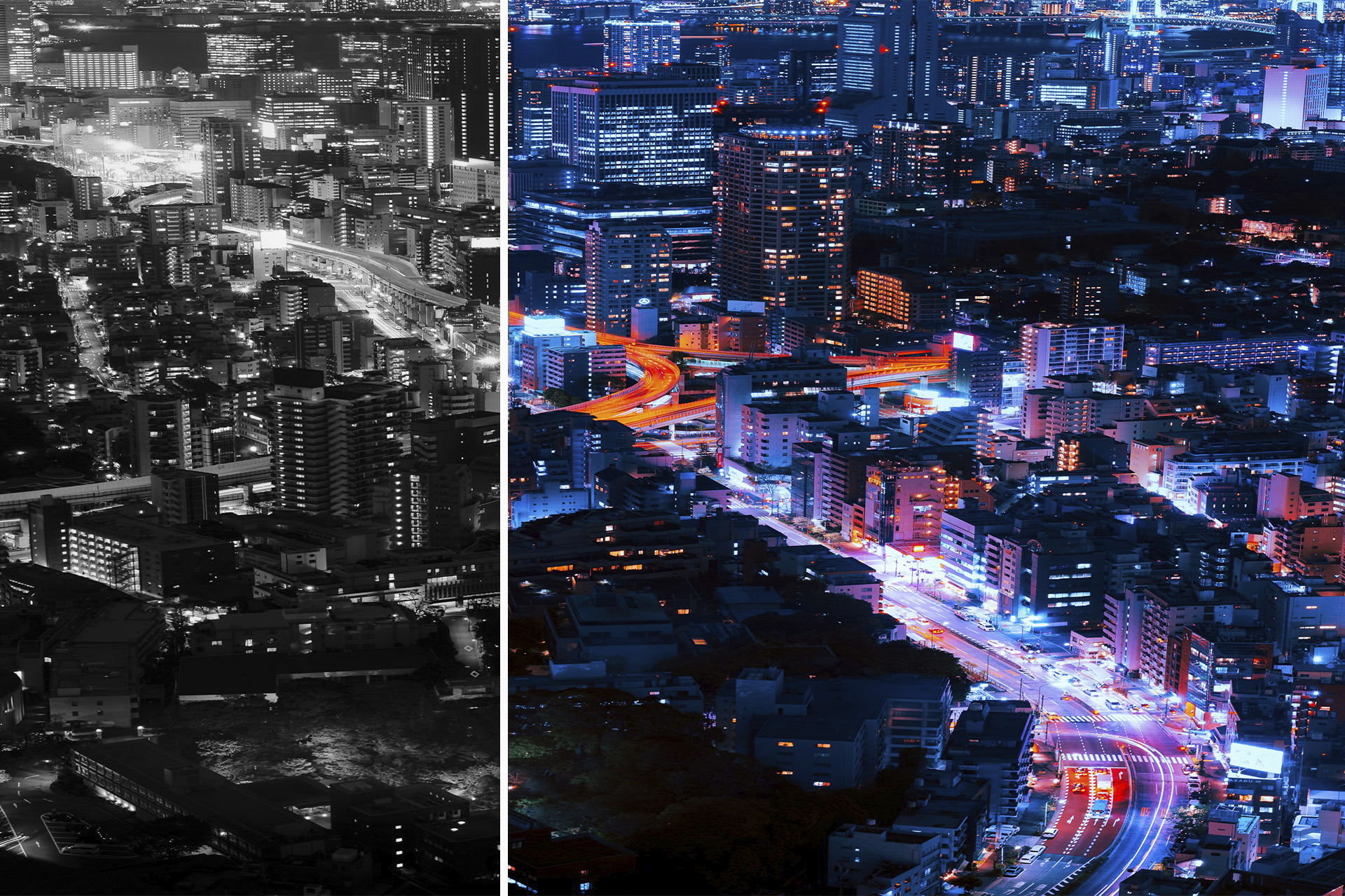 How CRM Solutions for MetaTrader Enhance Customer Experience How CRM Solutions for MetaTrader Enhance Customer Experience