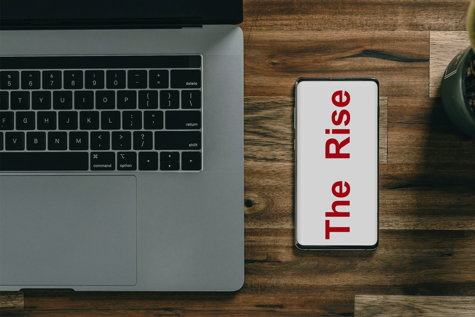 The Rise of Grey Label Providers in Borderless Business The Rise of Grey Label Providers in Borderless Business