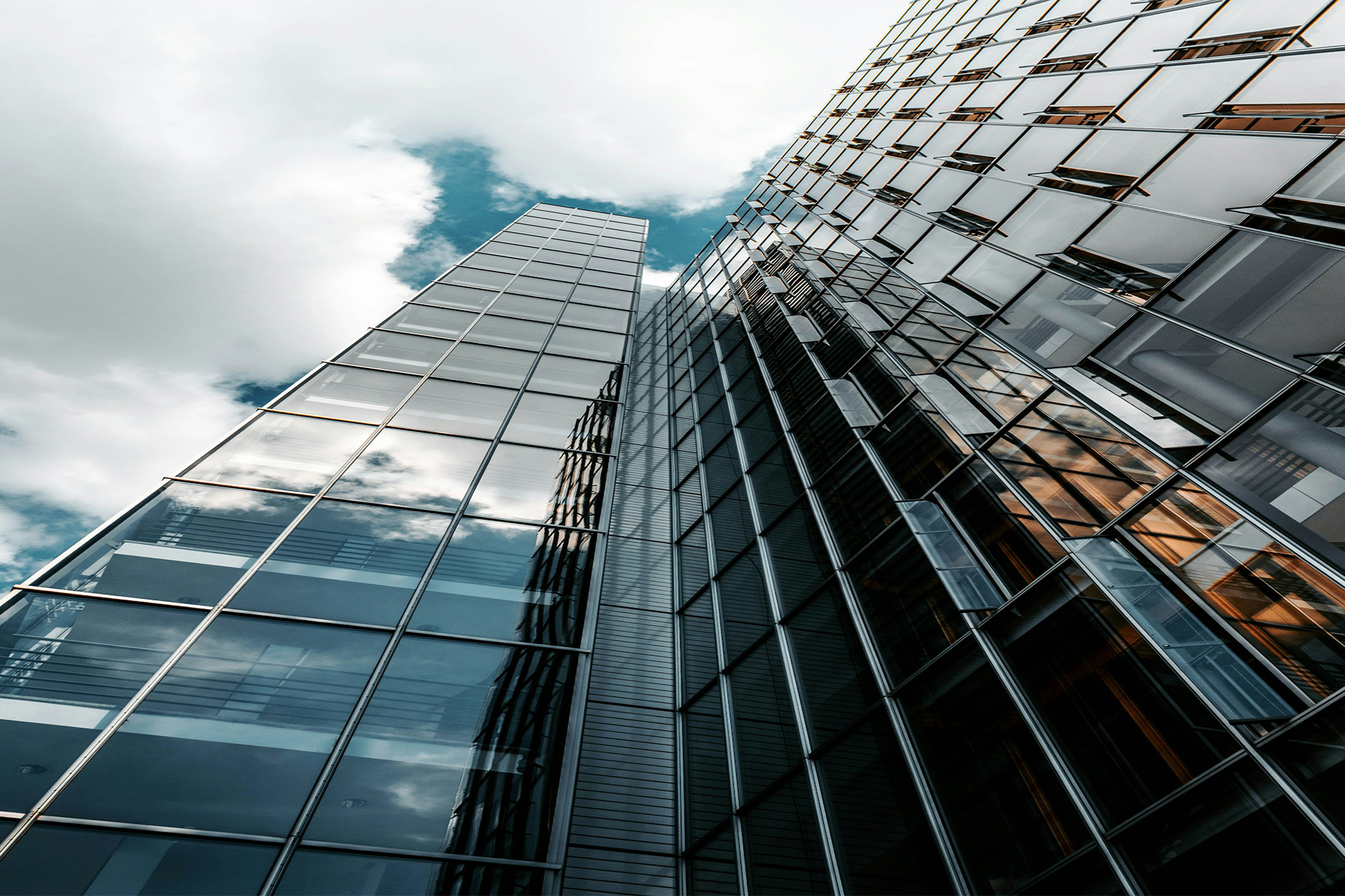 How Grey Label Providers Help Achieve Financial Goals How Grey Label Providers Help Achieve Financial Goals