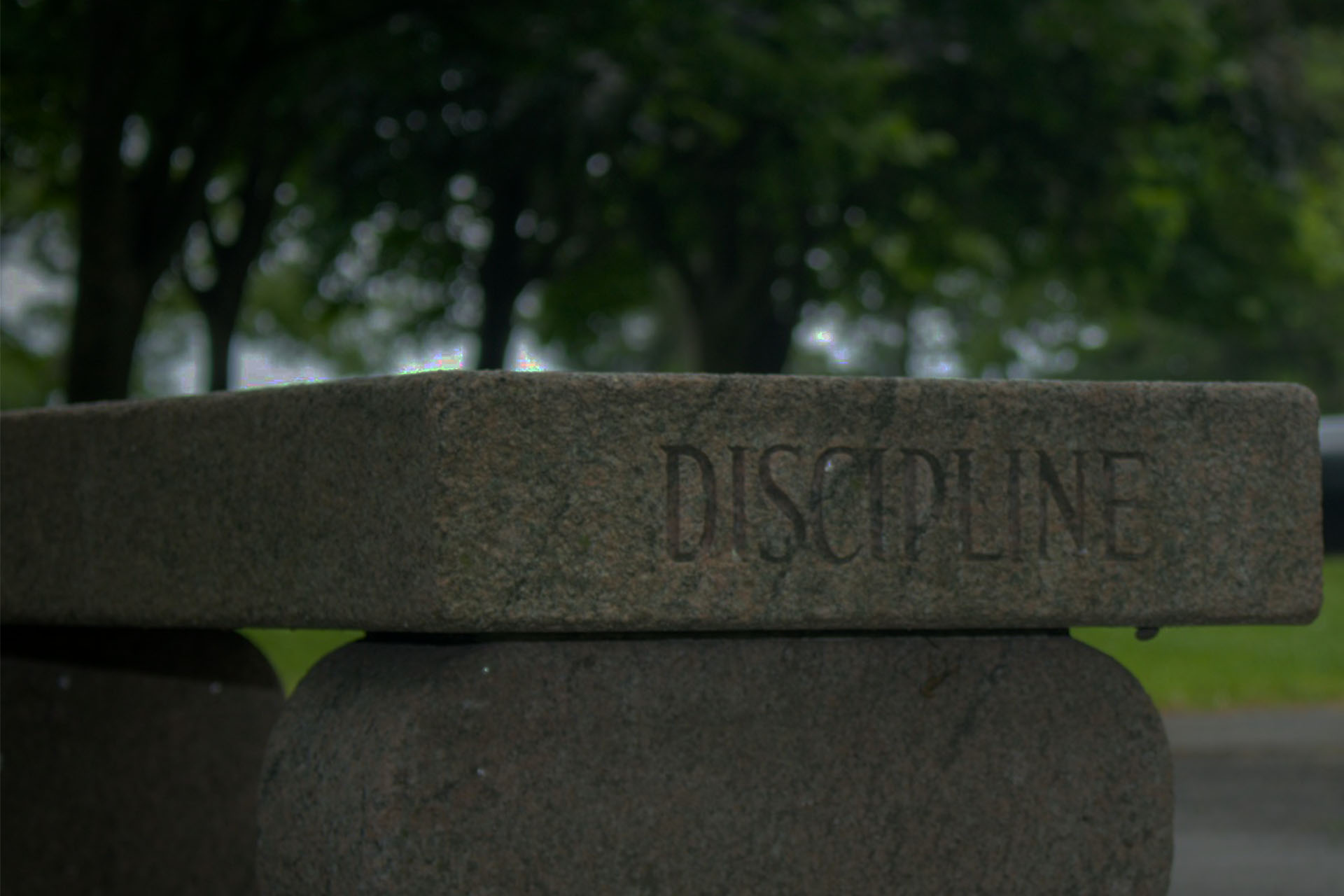 Traders Can Improve Their Self-Discipline for Optimal Results Traders Can Improve Their Self-Discipline for Optimal Results