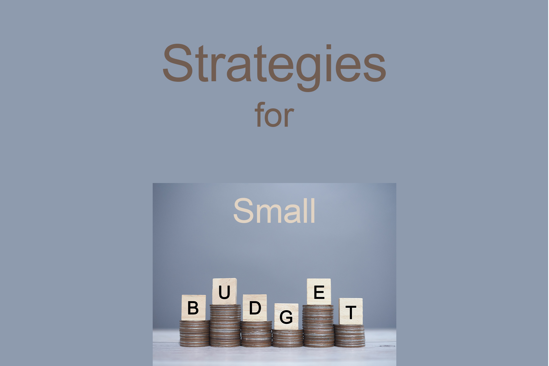 Effective Management Strategies for Small Budgets Effective Management Strategies for Small Budgets