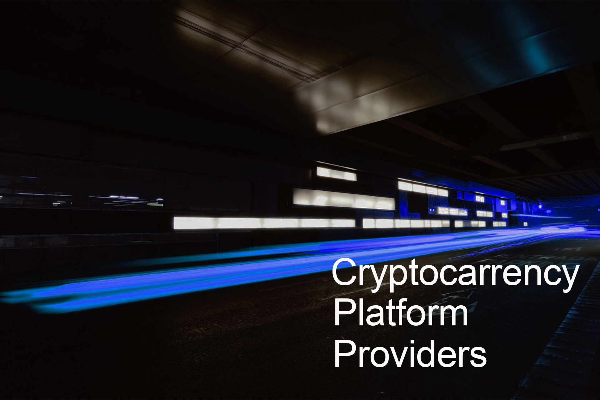 Cryptocurrency Platform Providers Cryptocurrency Platform Providers