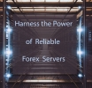 Maximize Your Trading Potential with Reliable Forex Servers