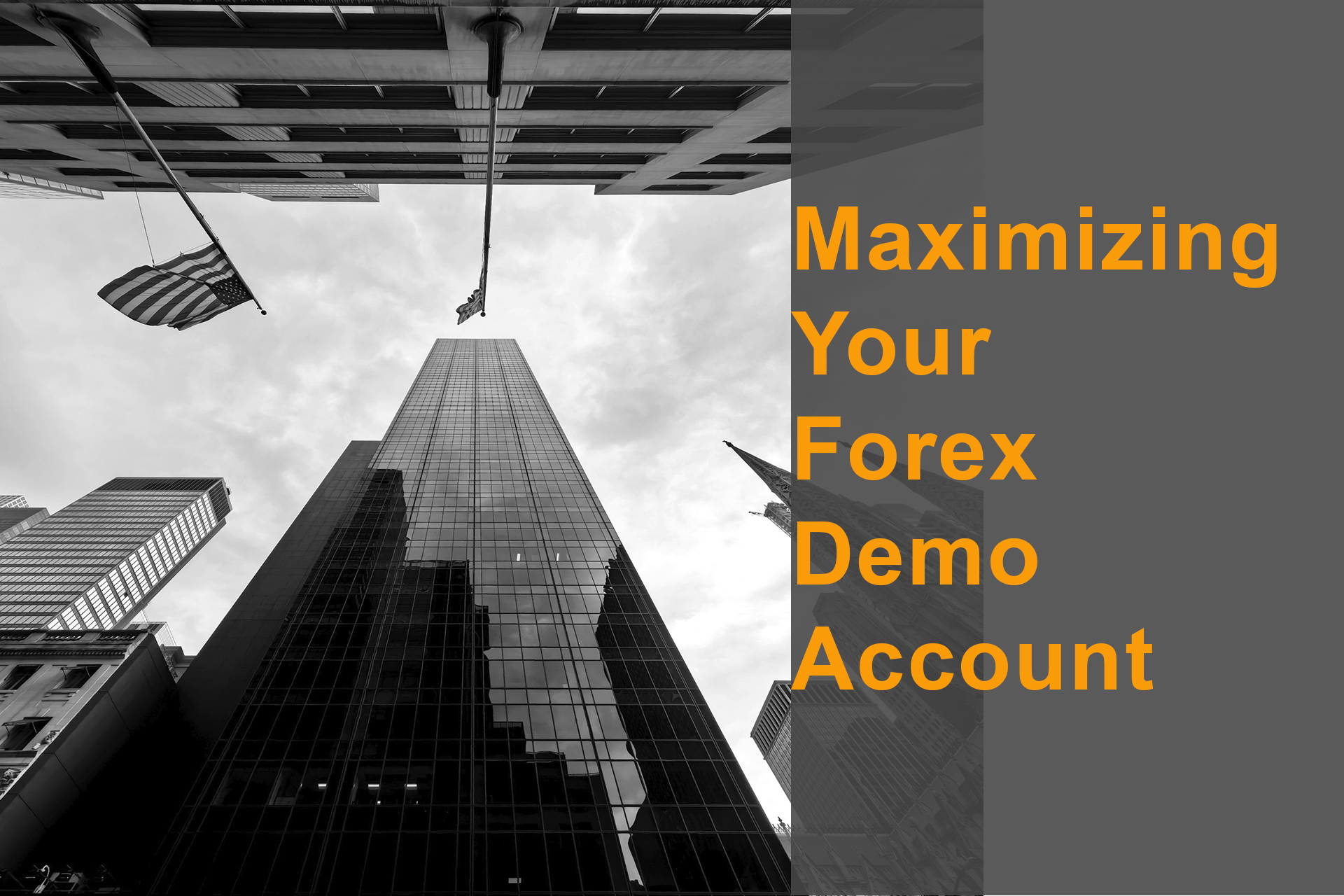 Maximizing Your Forex Demo Account Maximizing Your Forex Demo Account