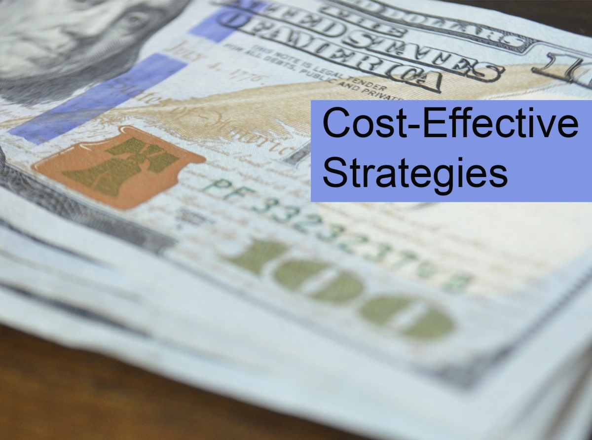 Cost-Effective Strategies for Launching a Forex Brokerage with Turnkey Solutions