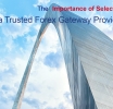 Ensuring Secure and Speedy Transactions: The Importance of Selecting a Trusted Forex Gateway Provider