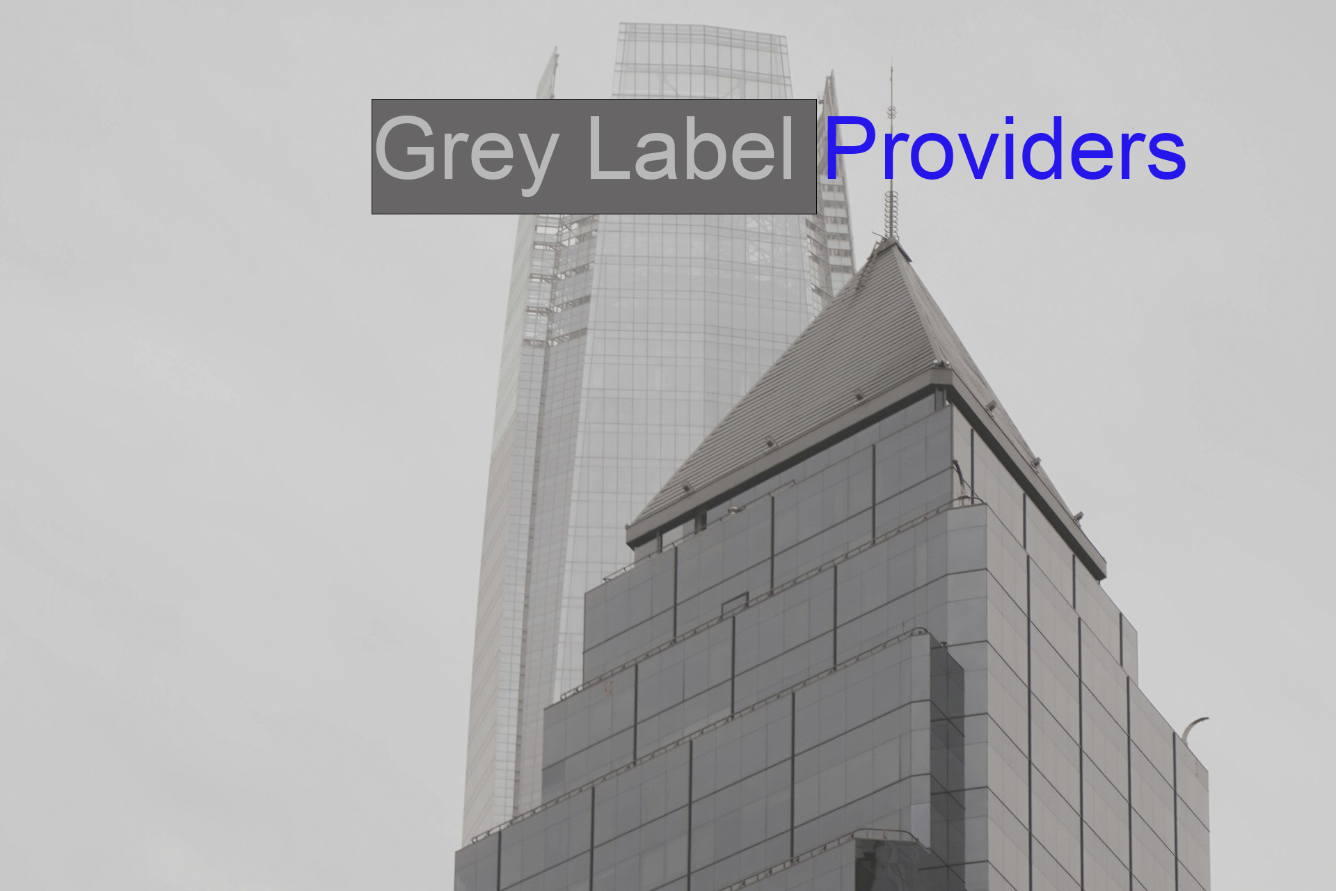 How Grey Label Providers Can Lower Entry Costs for New Brokers How Grey Label Providers Can Lower Entry Costs for New Brokers