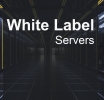 The Essential Role of White Label Servers in Modern Business