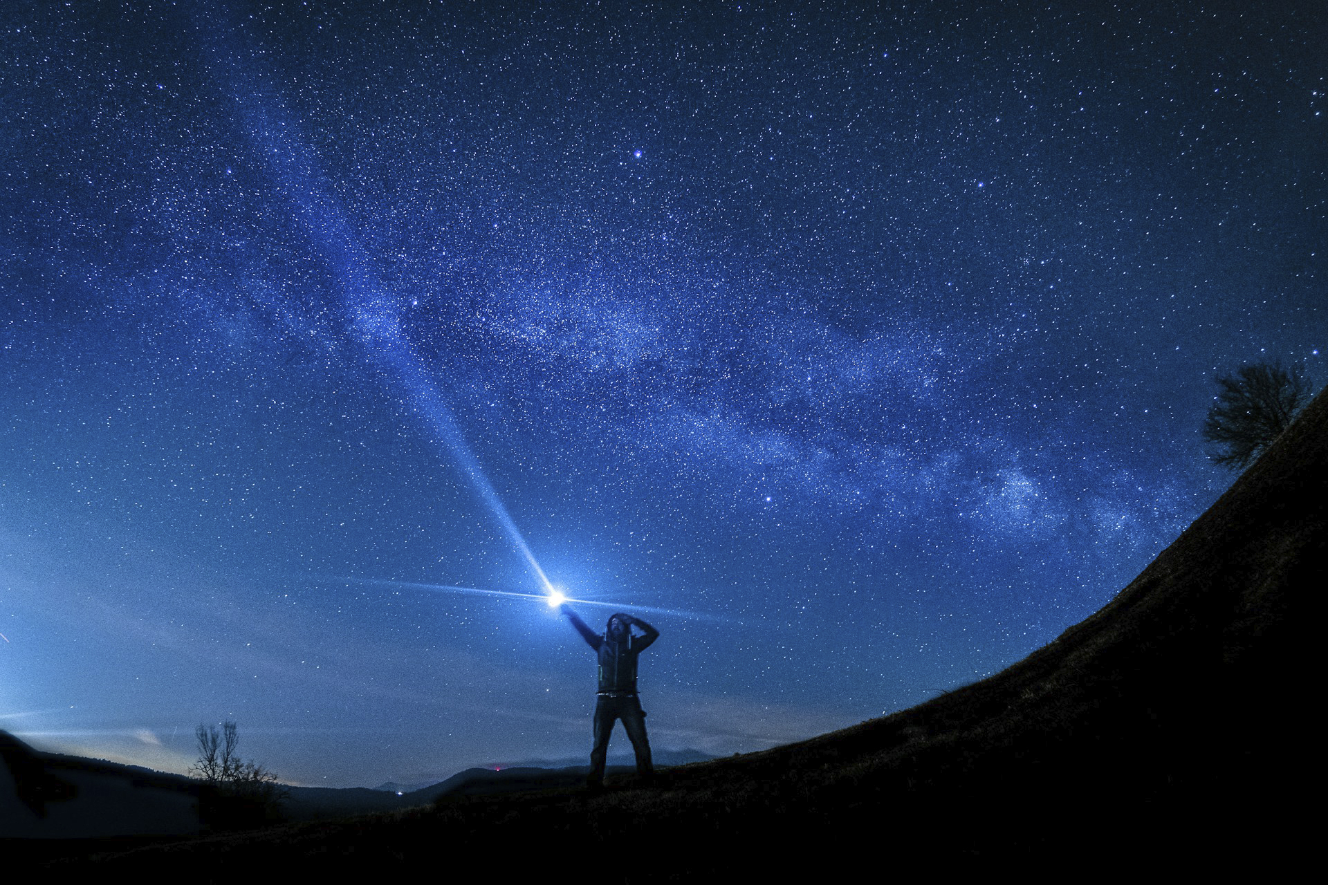 Where and How to Get Free Forex Signals: A Complete Guide Where and How to Get Free Forex Signals: A Complete Guide