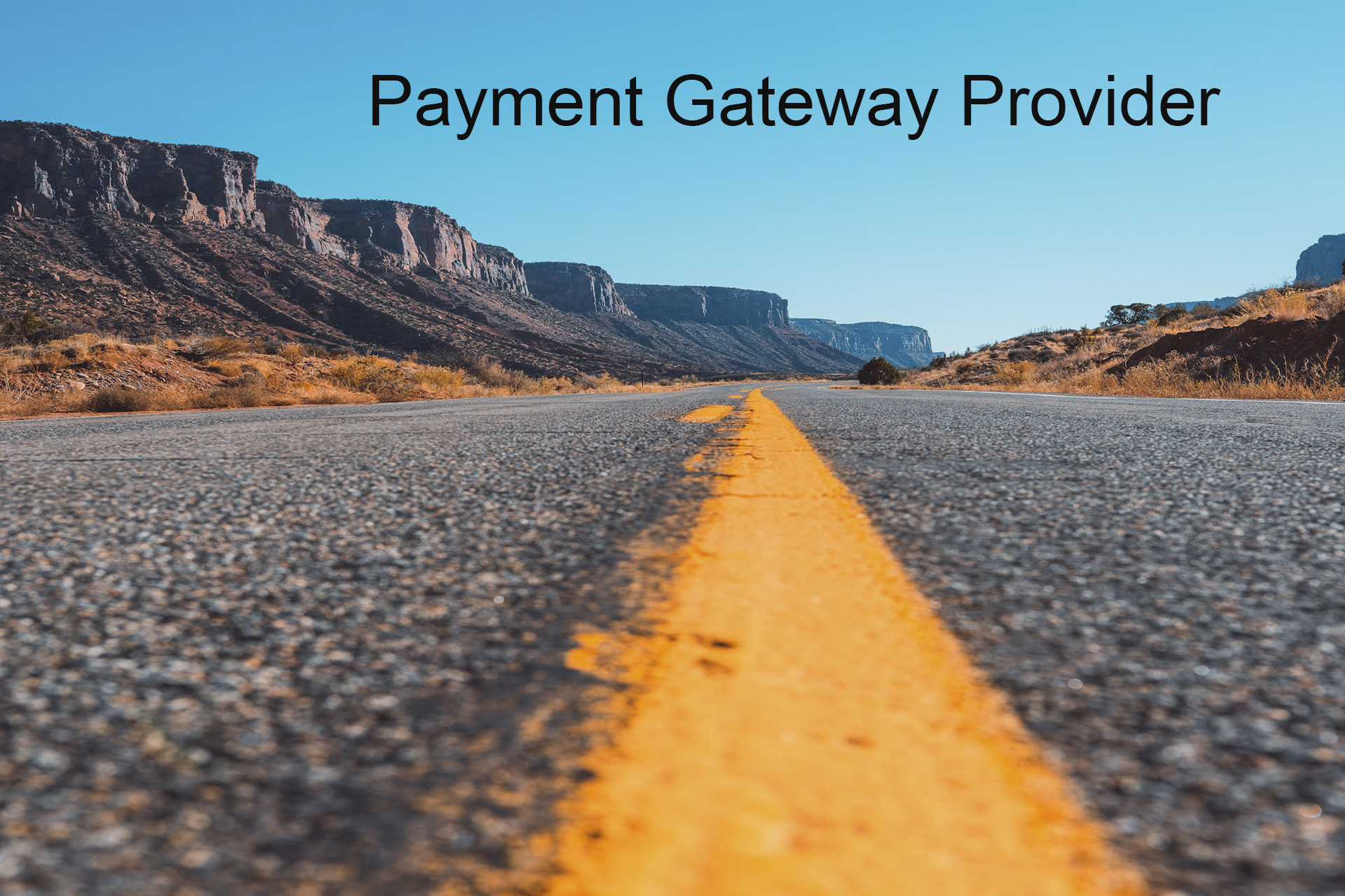 Choosing the Right Payment Gateway Provider for Maximizing Profit Choosing the Right Payment Gateway Provider for Maximizing Profit