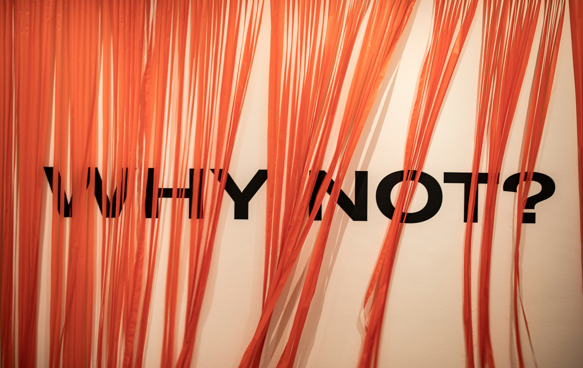 Why Economists Struggle to Succeed as Traders Why Economists Struggle to Succeed as Traders