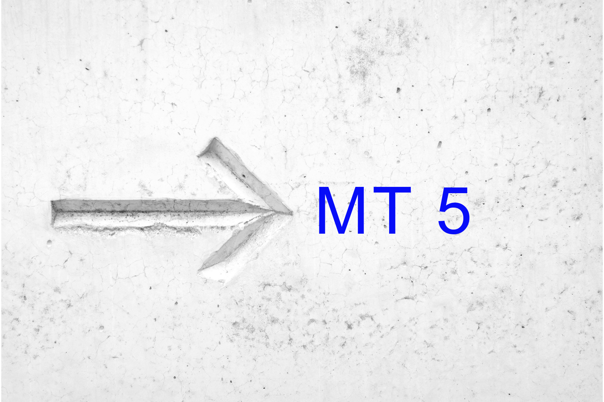 White Label MetaTrader 5 (MT5) - Assess Your Trading Level White Label MetaTrader 5 (MT5) - Assess Your Trading Level