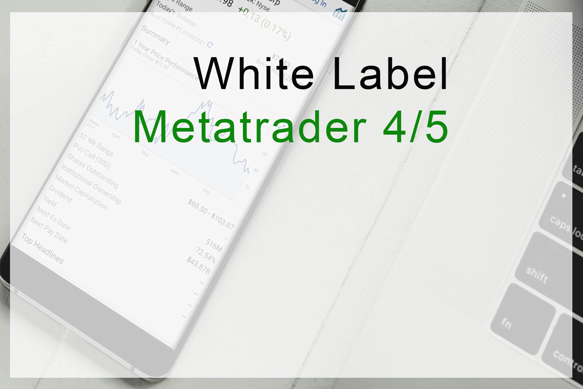 White Label Metatrader 4/5 Professional Provider White Label Metatrader 4/5 Professional Provider