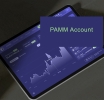 Understanding the Principles of PAMM Accounts