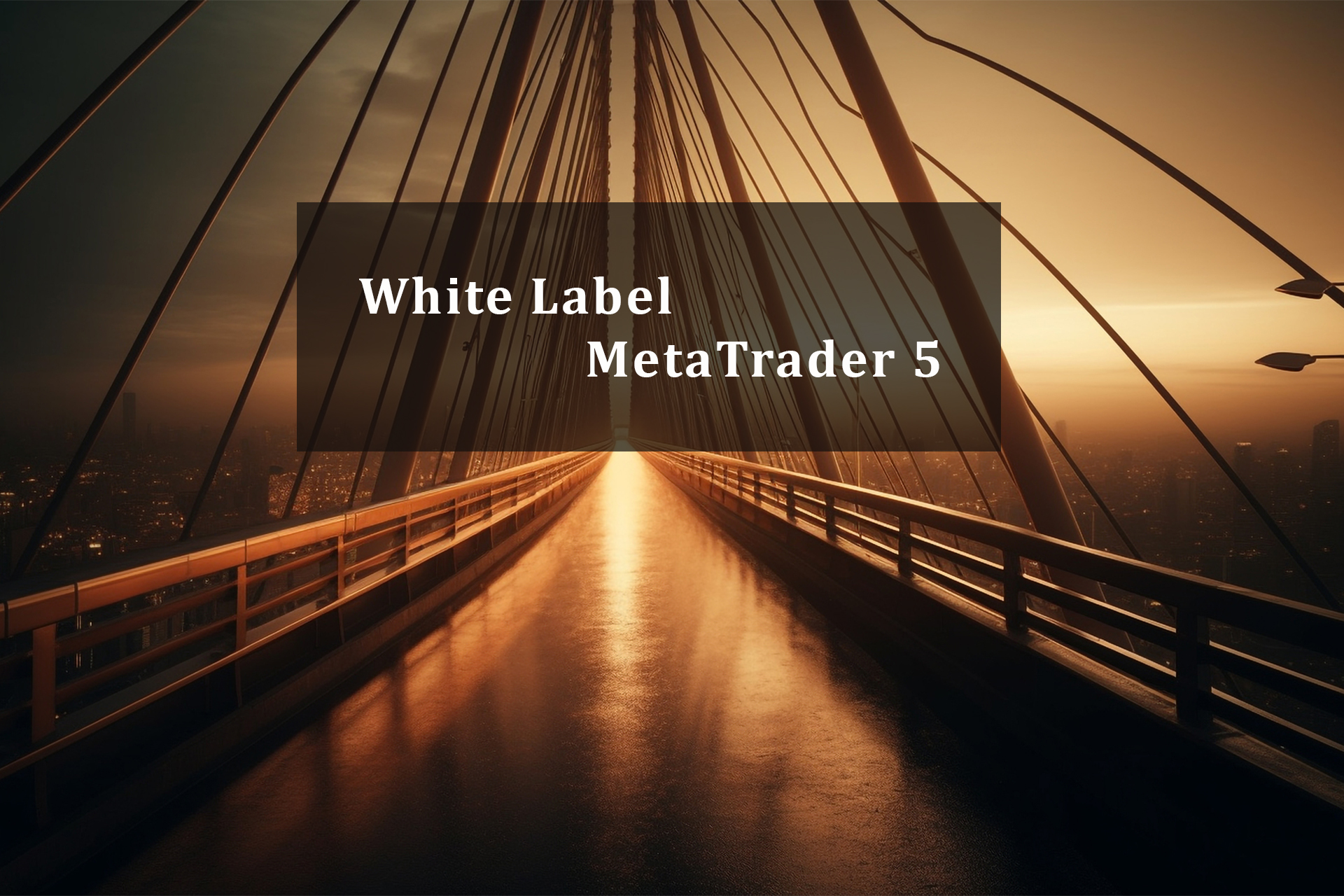 White Label MetaTrader 5: Empowering Brokerages in the Forex Market White Label MetaTrader 5: Empowering Brokerages in the Forex Market
