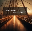 White Label MetaTrader 5: Empowering Brokerages in the Forex Market