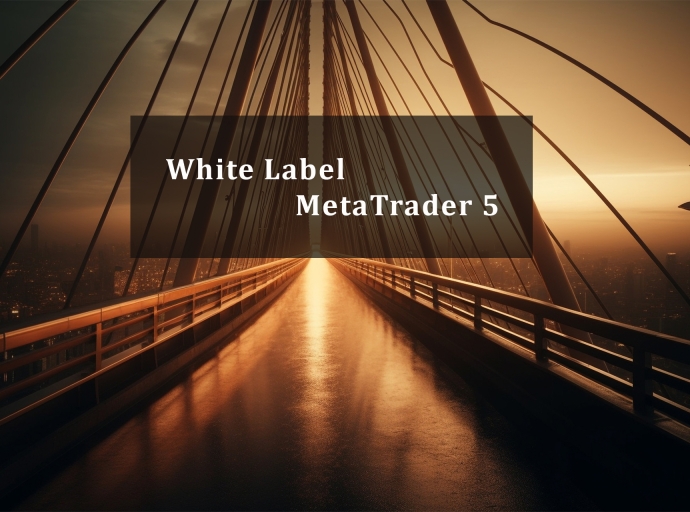 White Label MetaTrader 5: Empowering Brokerages in the Forex Market