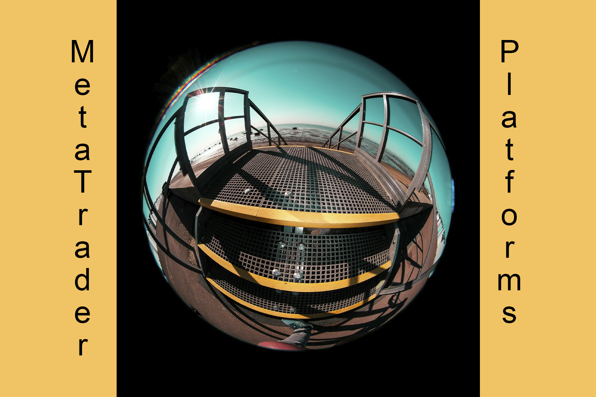 High-Performance MetaTrader Platforms for Forex High-Performance MetaTrader Platforms for Forex