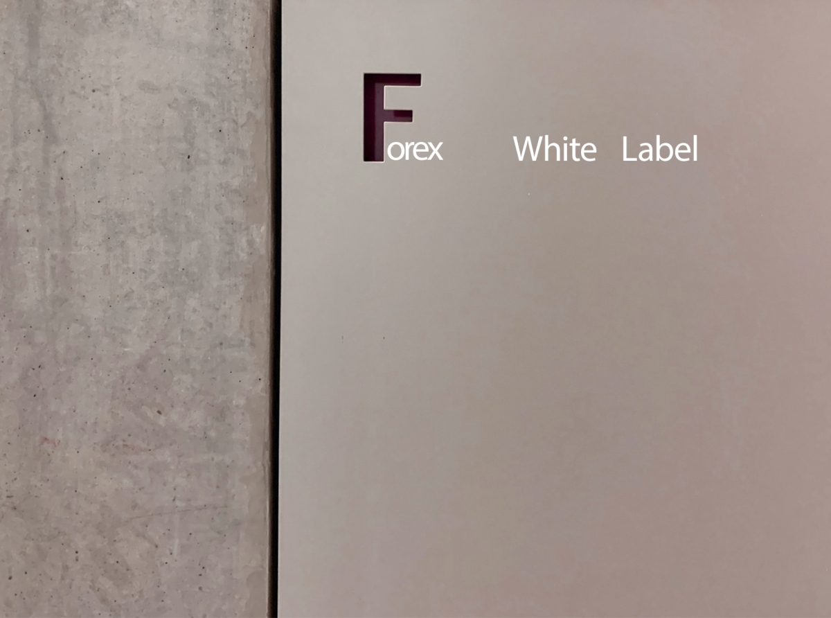 Unlocking Growth with White Label Providers: Strategies for Scaling and Succeeding in Business