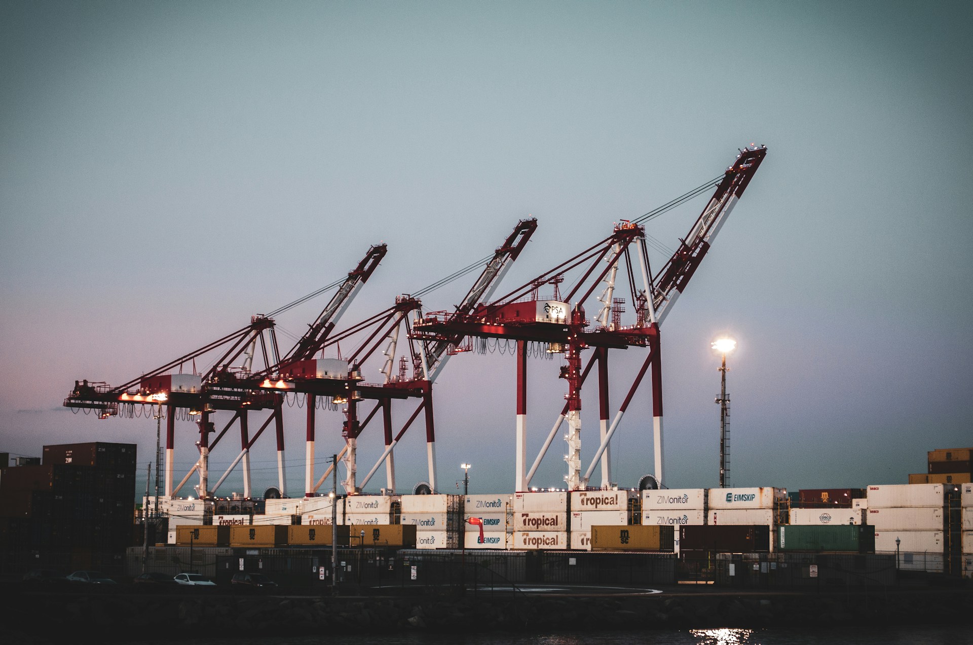 Trump’s Tariffs Trigger Nationwide Export Decline in the U.S. Trump’s Tariffs Trigger Nationwide Export Decline in the U.S.