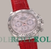 Rare Platinum Rolex Set for Auction, Expected to Fetch $1.7 Million