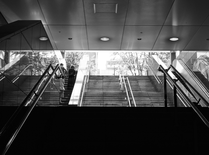 Forex Trading for Everyone: Accessible Opportunities for All Levels