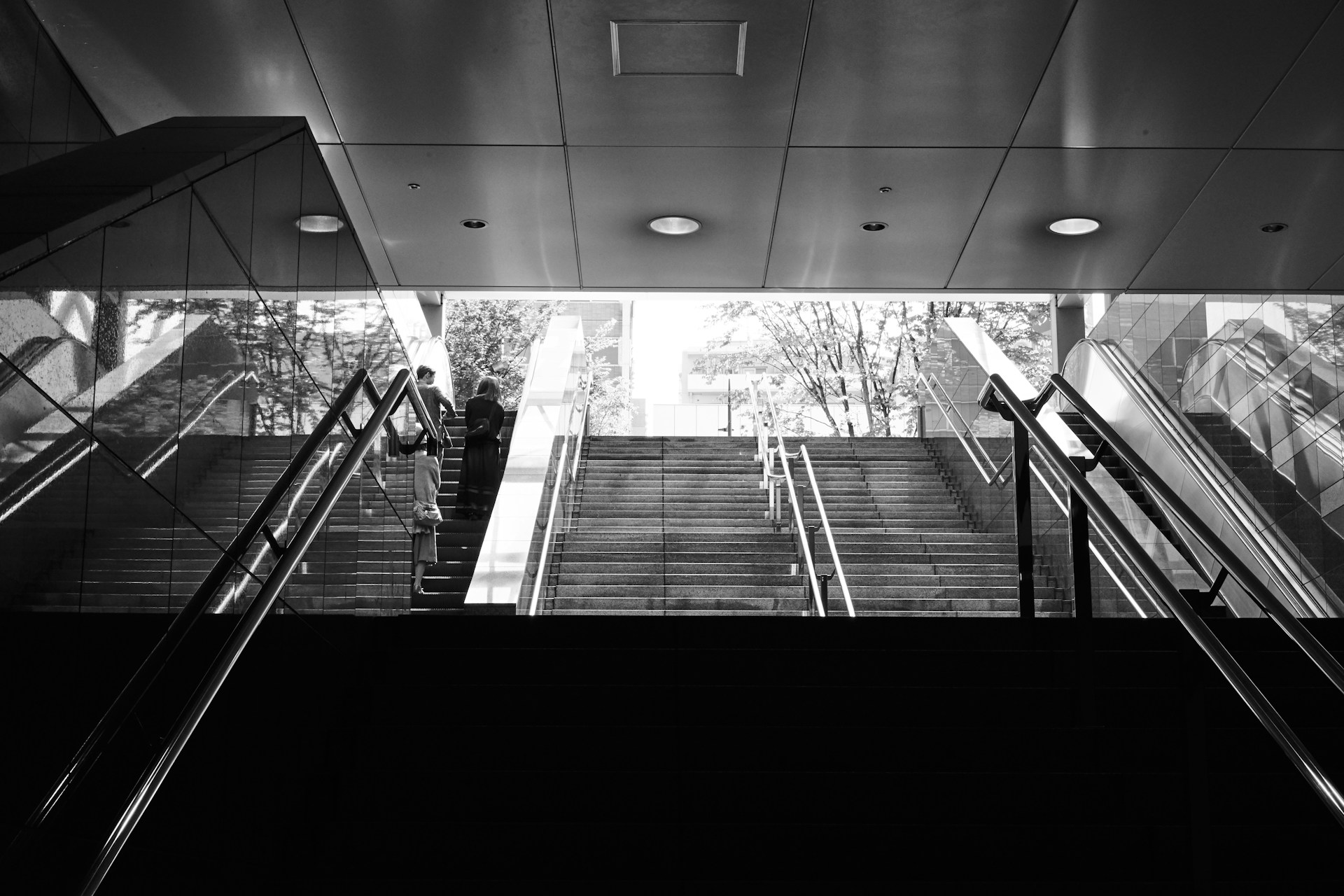 Forex Trading for Everyone: Accessible Opportunities for All Levels