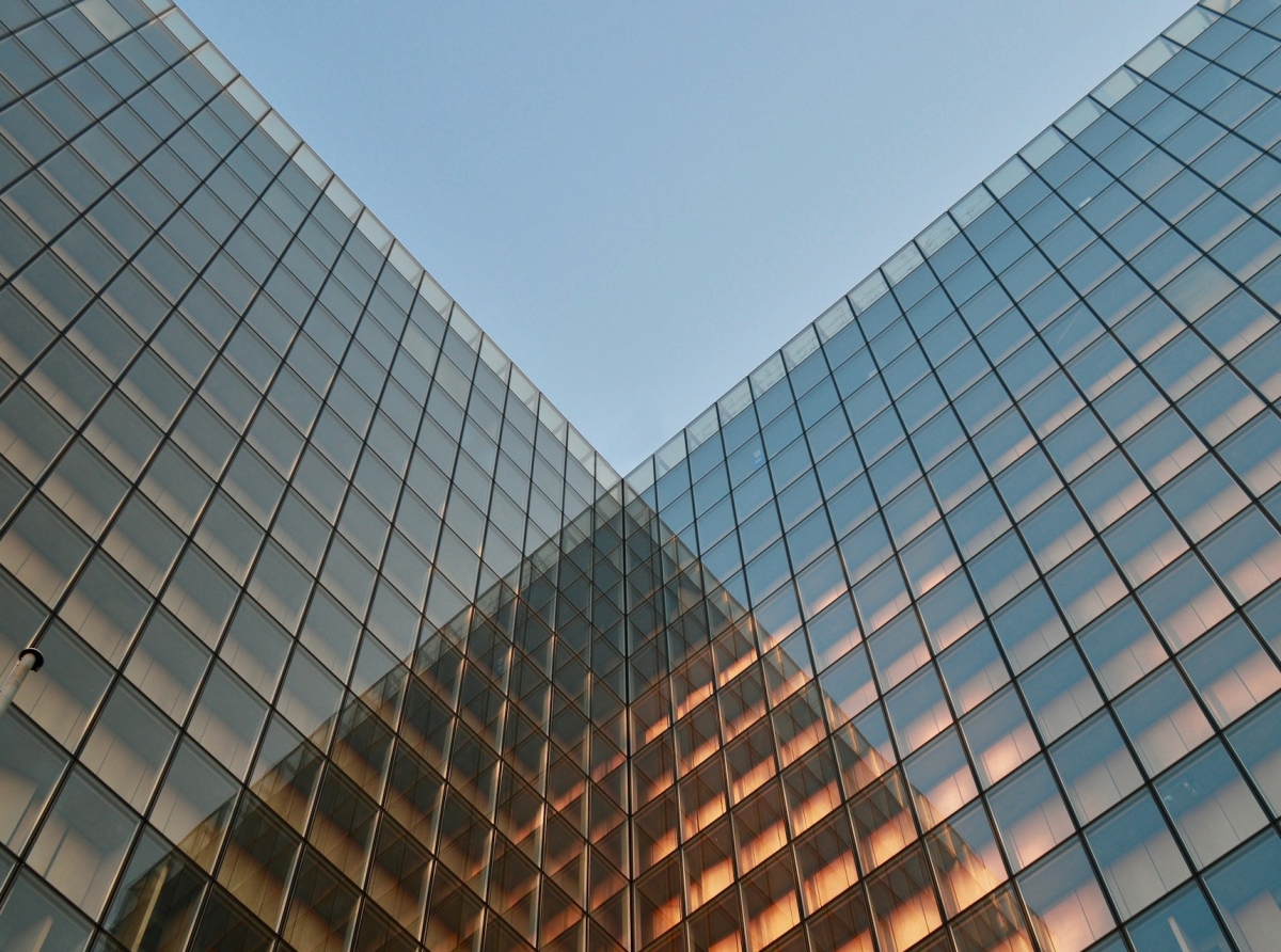 Liquidity Providers in Forex: The Backbone of Market Efficiency