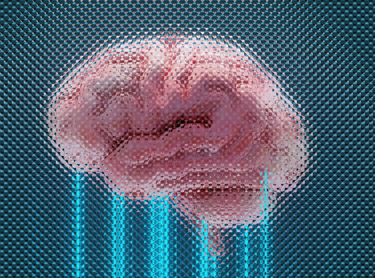 Your Brain on Charts: How Cognitive Bias Affects Your Trades