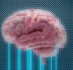 Your Brain on Charts: How Cognitive Bias Affects Your Trades
