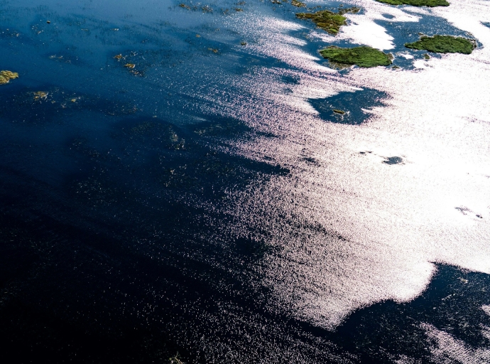 Forex and ecology: how do climate risks affect exchange rates and trading?