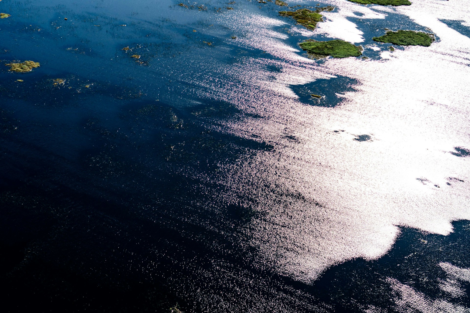 Forex and ecology: how do climate risks affect exchange rates and trading? Forex and ecology: how do climate risks affect exchange rates and trading?