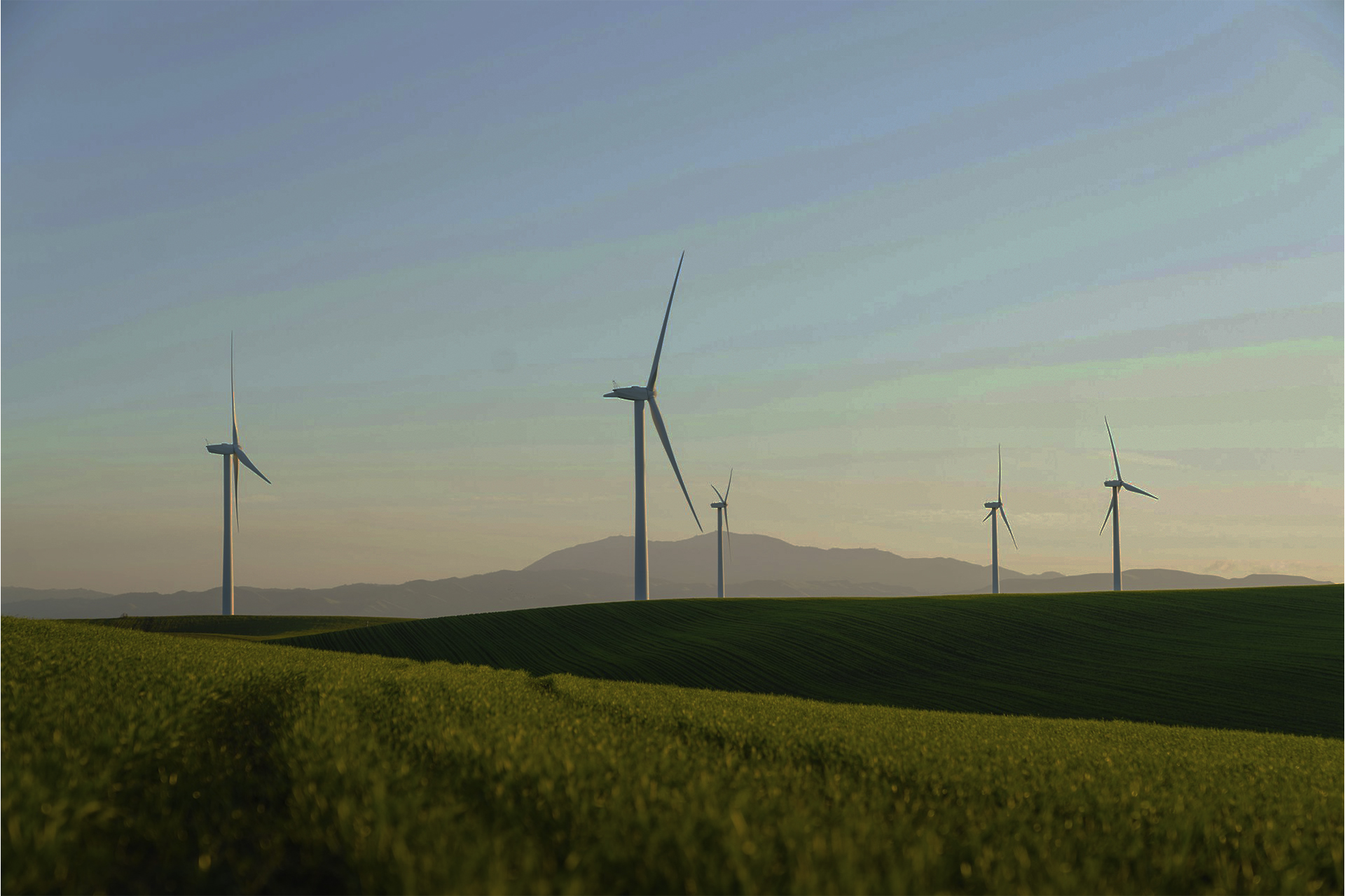 Green Energy Stocks: The Future of Sustainable Investing Green Energy Stocks: The Future of Sustainable Investing