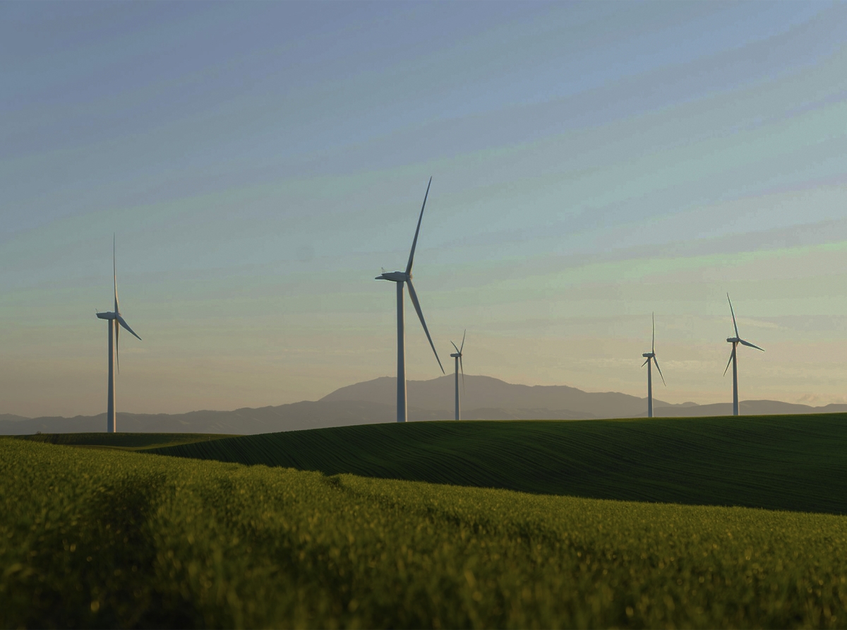 Green Energy Stocks: The Future of Sustainable Investing