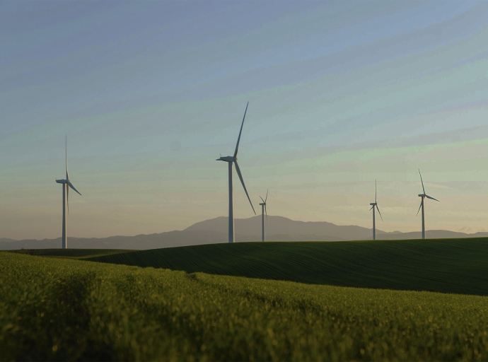 Green Energy Stocks: The Future of Sustainable Investing