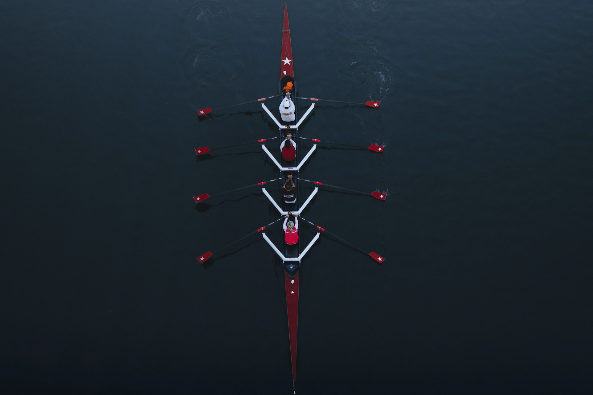 Lone Wolves vs. Trading Teams: Who Really Survives the Forex Game?