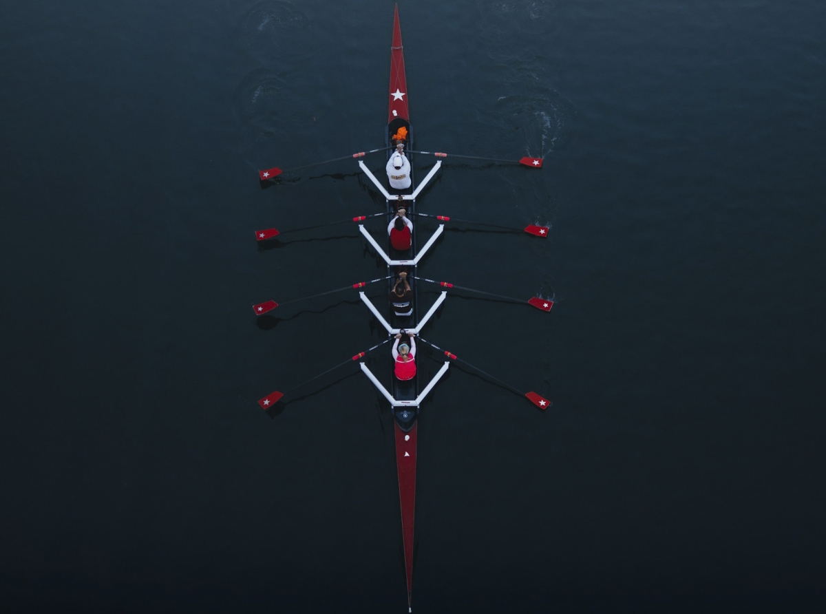 Lone Wolves vs. Trading Teams: Who Really Survives the Forex Game?