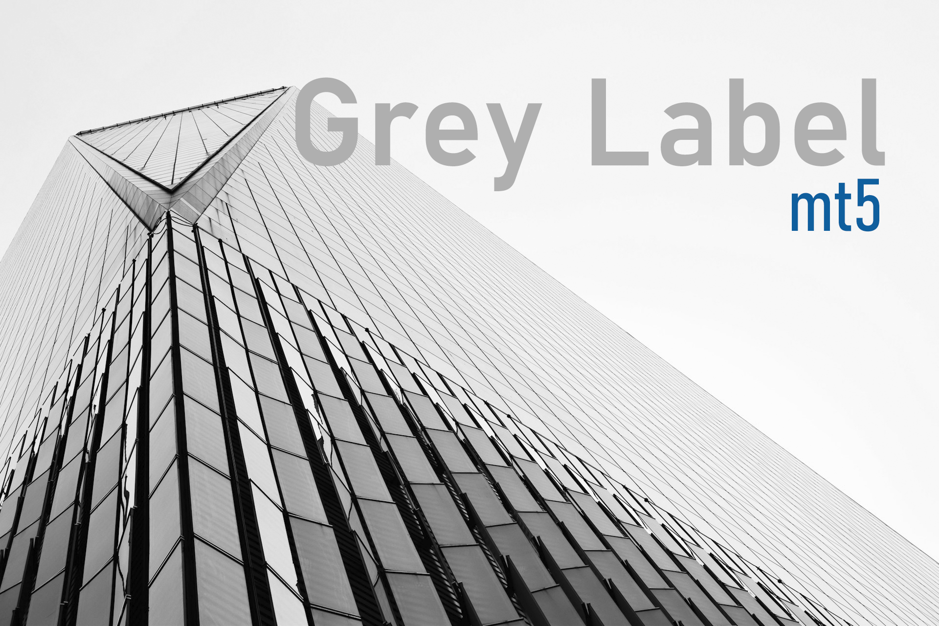 MT5 Grey Label: Balancing Flexibility and Control in Brokerage