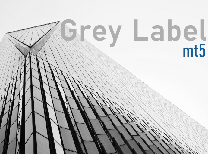 MT5 Grey Label: Balancing Flexibility and Control in Brokerage