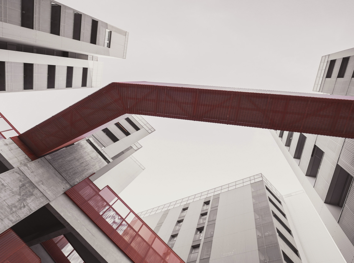 Leverage in Forex: Growth Tool or Accelerator of Ruin?