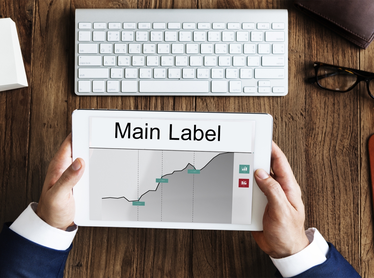 Main Label in MetaTrader terminal: example of use for marking support and resistance levels