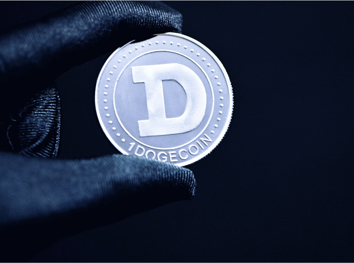 Elon Musk and Dogecoin - $200 million investment fund