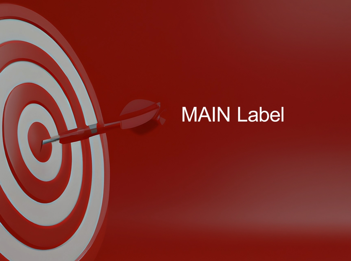 MetaTrader 5 Main Label server infrastructure for brokers