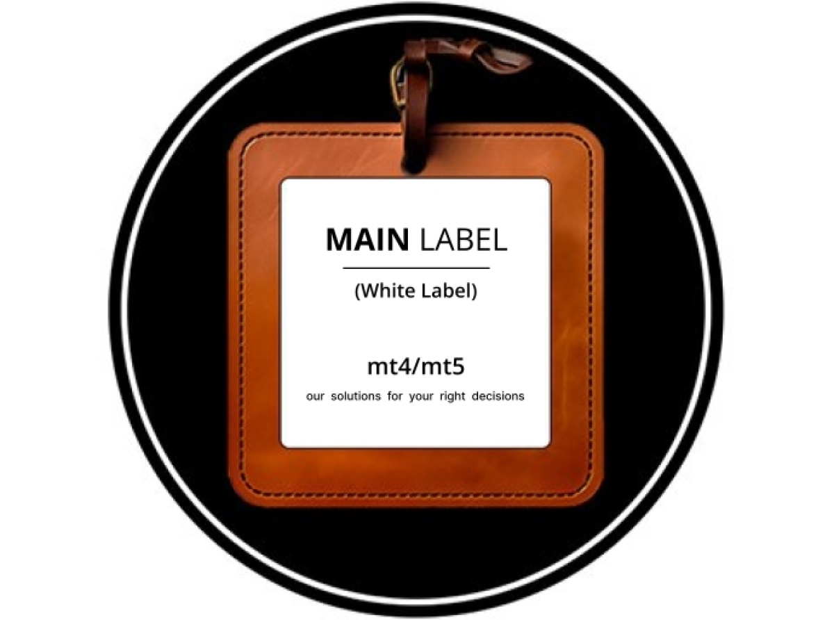 MetaTrader 4/5 Main Label: All-in-One Solutions with Unmatched Reliability and Completed Infrastructure