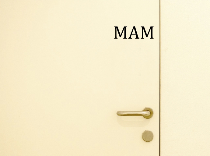 Multi Account Manager (MAM) MT4/MT5: Large-Scale Trade Management in 2025