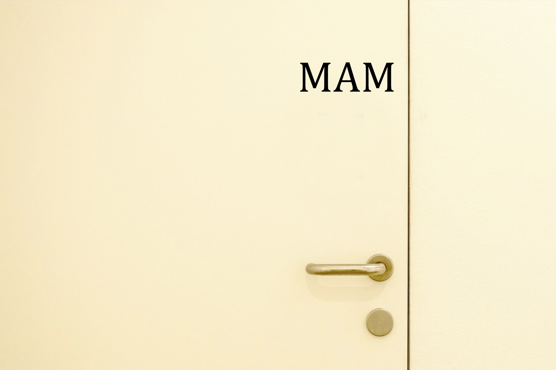 Multi Account Manager (MAM) MT4/MT5: Large-Scale Trade Management in 2025 Multi Account Manager (MAM) MT4/MT5: Large-Scale Trade Management in 2025