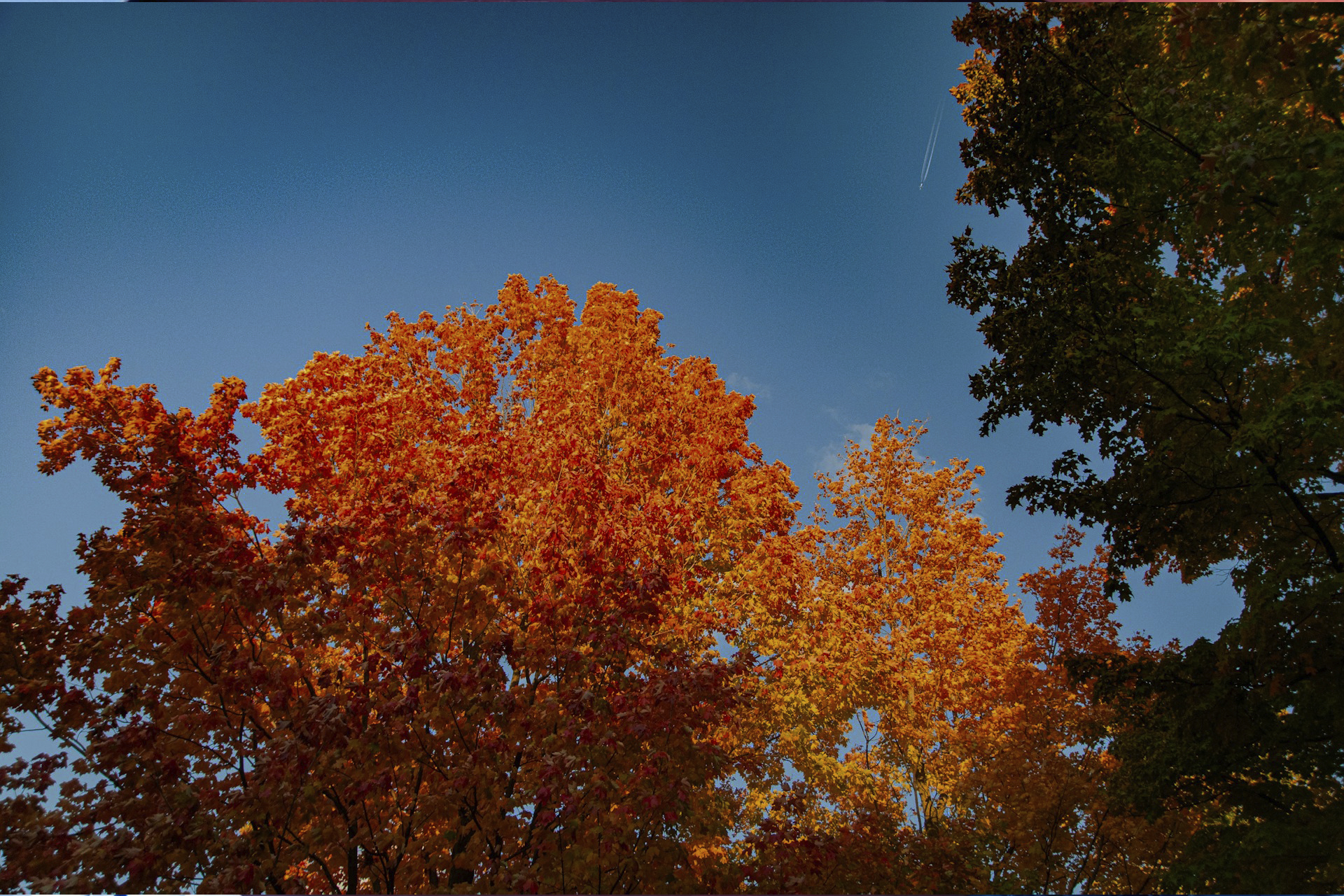 Forex Seasonal Trends: How Holidays, Harvests, and Weather Cycles Move Currencies