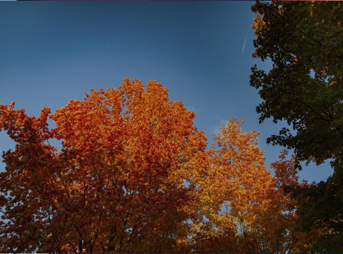 Forex Seasonal Trends: How Holidays, Harvests, and Weather Cycles Move Currencies