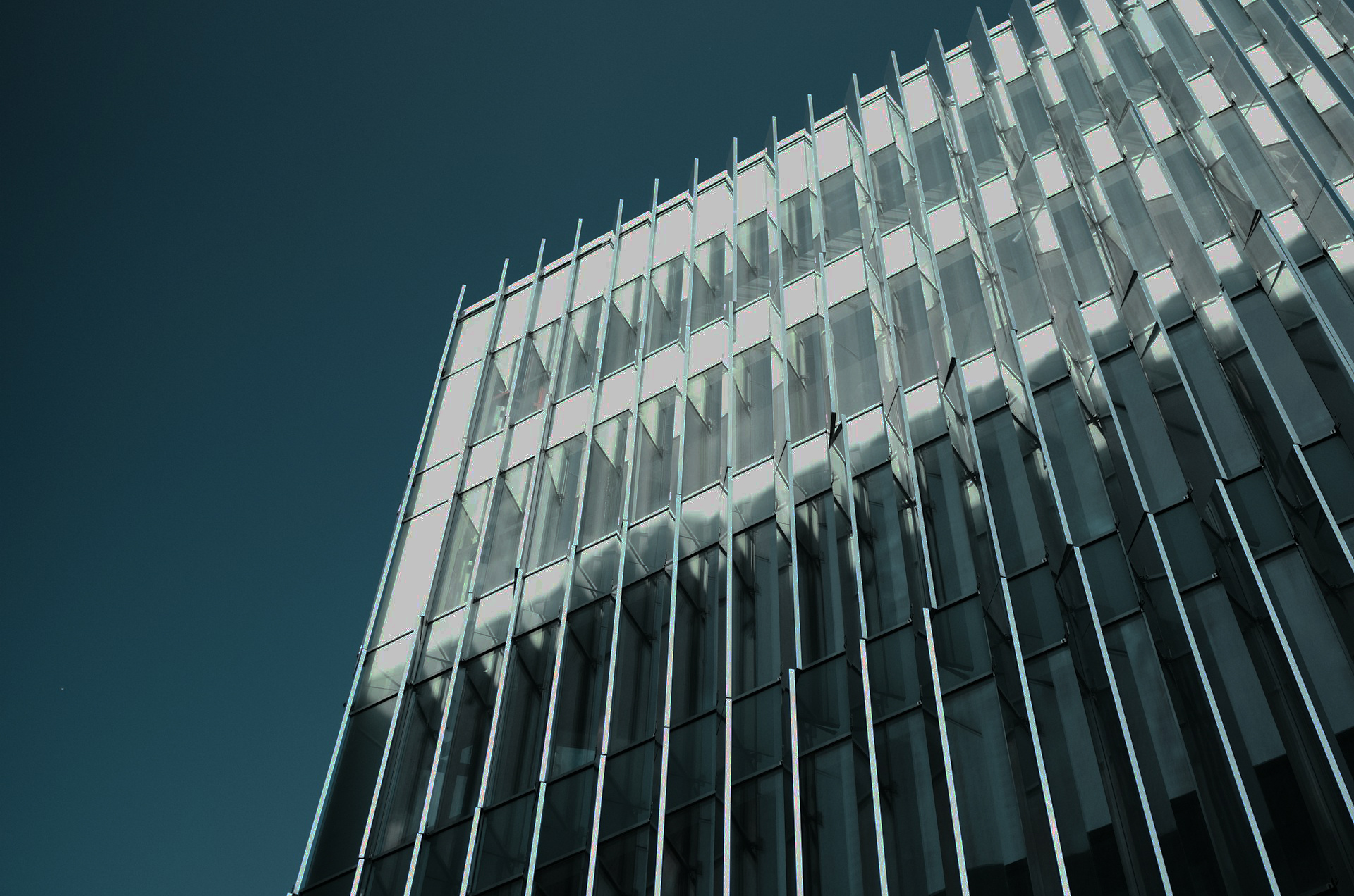 From Partner to Leader: How White Label Providers Help Brokers Build Trust and Brand Recognition